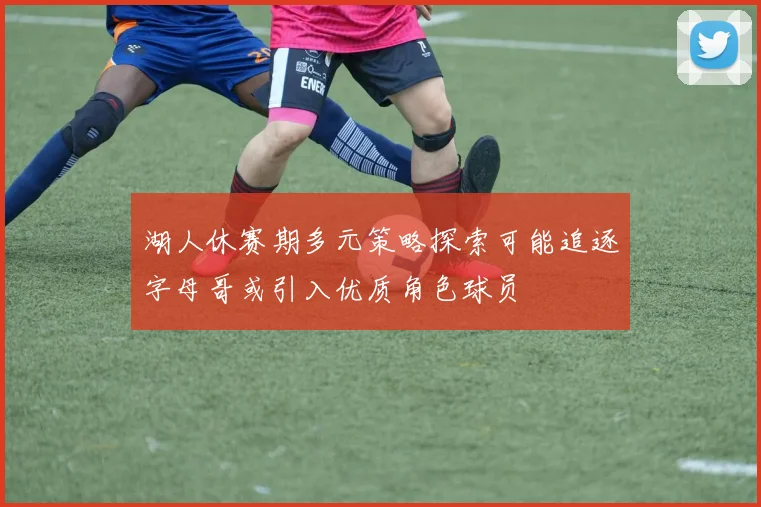 湖人休赛期多元策略探索可能追逐字母哥或引入优质角色球员